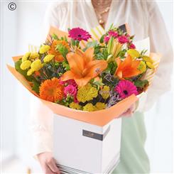 Bright Handtied 