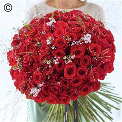 100 Rose Handtied