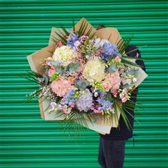 Pastel Hydrangea Mix