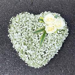 Gyp Heart