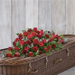 Rose &amp; Carnation Casket Spray