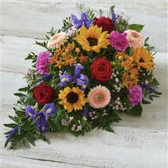 Vibrant Medley Spray