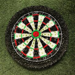 Dartboard