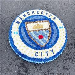 Manchester City Badge