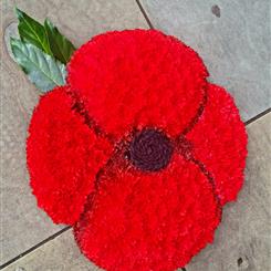 Poppy Tribute