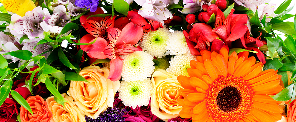 Wynne's Flower Vibes
