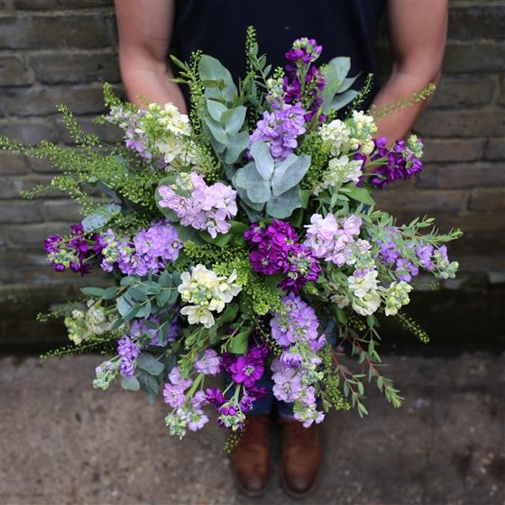 Scented Stocks Wynne's Flower Vibes Florist Middleton Manchester